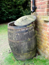 Gardeners can play a key role in preventing flooding