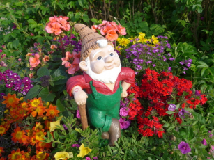 The humble garden gnome is under threat