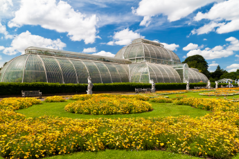 The world’s longest double herbaceous borders